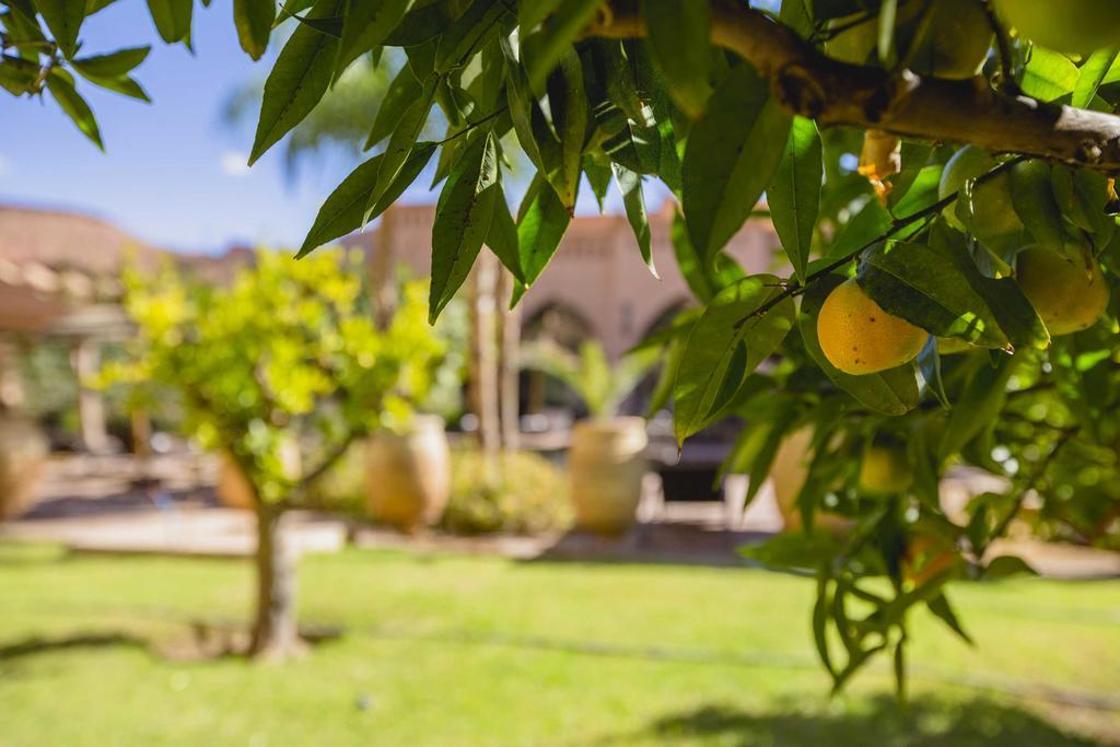 Ksar Ighnda Hotel เอท เบน ฮัดโด ภายนอก รูปภาพ